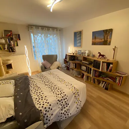 Appartement Cosy Et Accessible Chevilly-Larue